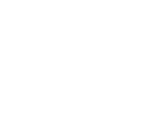 Flying Pet - Assessoria de Transporte Aéreo Internacional para Cães e Gatos
